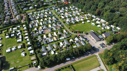 Camping Relaxin Crow